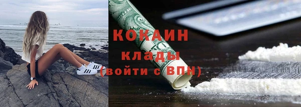 индика Алзамай
