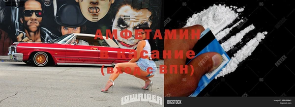 индика Алзамай