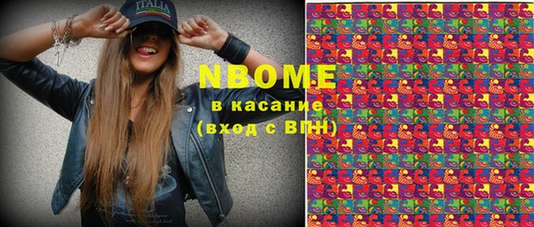 индика Алзамай