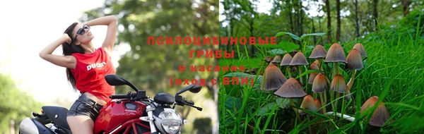 шишки Алексеевка