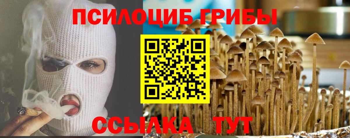 даркнет сайт  Вход с VPN  Галлюциногенные грибы GOLDEN TEACHER  Нефтекумск  Псилоцибиновые грибы прущие грибы 